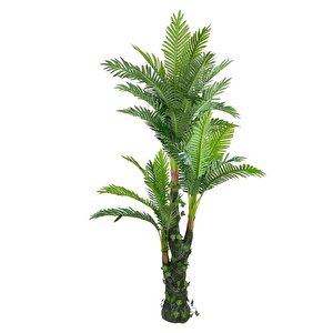 Yapay Ağaç Areka Palmiye 165*90 Doğal Gövdeli 36 Yaprak