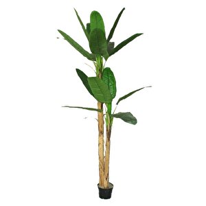 Yapay Ağaç Muz Ağacı Yapay Starliçe 220cm