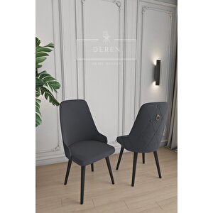 Fier Serisi 4 Adet Füme Sandalye Mutfak Ve Salon Sandalyesi