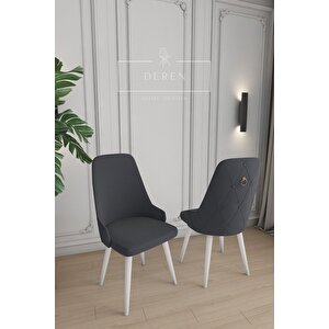 Fier Serisi 6 Adet Füme Sandalye Mutfak Ve Salon Sandalyesi