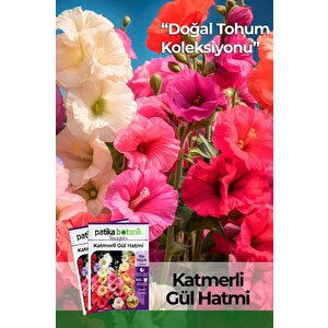 50 Adet Hatim Çiçeği (alcea Rosea) Çiçek Tohumu