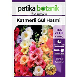 50 Adet Hatim Çiçeği (alcea Rosea) Çiçek Tohumu