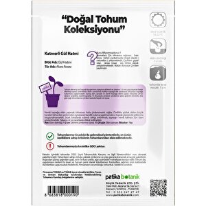 50 Adet Hatim Çiçeği (alcea Rosea) Çiçek Tohumu
