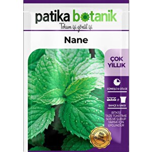 75 Adet Ata Tohumu Yerli Nane (mentha)