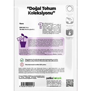75 Adet Ata Tohumu Yerli Nane (mentha)