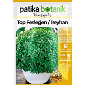 100 Adet Top Fesleğen - Top Reyhan (ocimum Basilicum) Çiçek Tohumu