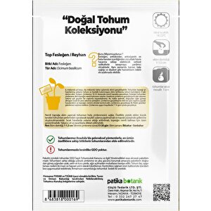 100 Adet Top Fesleğen - Top Reyhan (ocimum Basilicum) Çiçek Tohumu