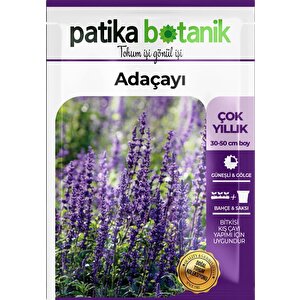 50 Adet Adaçayı (salvia Officinalis) Çiçek Tohumu