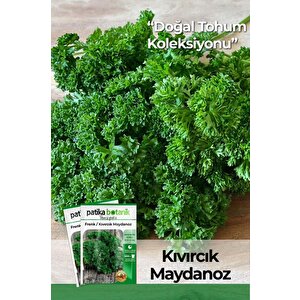 2500 Adet Frenk / Kıvırcık Maydanoz Tohumu