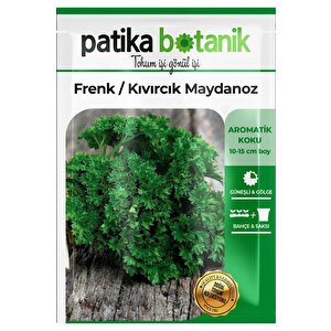 2500 Adet Frenk / Kıvırcık Maydanoz Tohumu