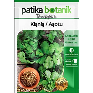 500 Adet Yerli Ata Kişniş Tohumu (aşotu)