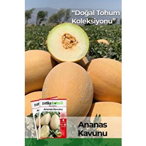 100 Adet Ananas Kavun Tohumu