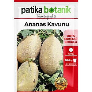 100 Adet Ananas Kavun Tohumu