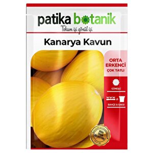 50 Adet Kanarya Kavun Tohumu