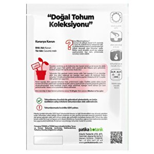 50 Adet Kanarya Kavun Tohumu