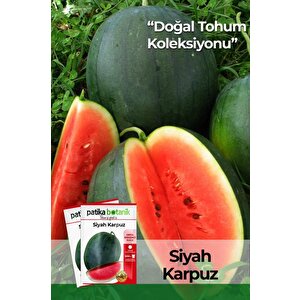 30 Adet Siyah Karpuz Tohumu