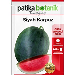 30 Adet Siyah Karpuz Tohumu