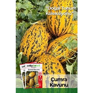 100 Adet Çumra Kavunu Tohumu
