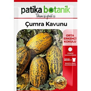 100 Adet Çumra Kavunu Tohumu