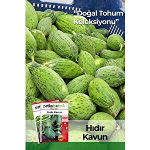 20 Adet Hıdır Kavun Tohumu
