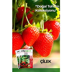 100 Adet Sarmaşık Çilek Tohumu