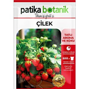 100 Adet Sarmaşık Çilek Tohumu