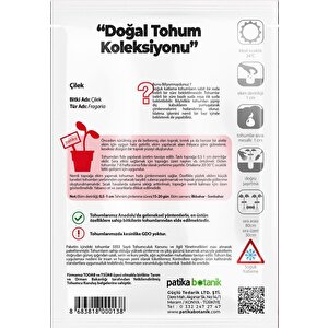 100 Adet Sarmaşık Çilek Tohumu