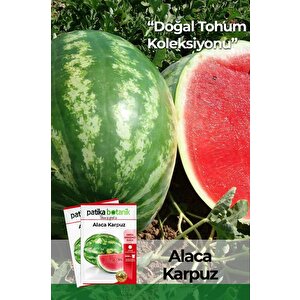 75 Adet Yerli Ata Alaca Karpuz Tohumu