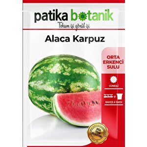 75 Adet Yerli Ata Alaca Karpuz Tohumu