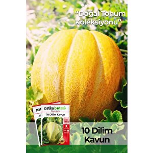 120 Adet Yerli Ata 10 Dilim Çorum Kavun Tohumu