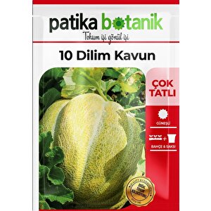 120 Adet Yerli Ata 10 Dilim Çorum Kavun Tohumu