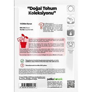 120 Adet Yerli Ata 10 Dilim Çorum Kavun Tohumu