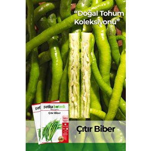 200 Adet Çıtır Biber Tohumu (sivri, Tatlı)