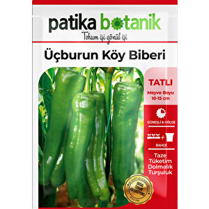 200 Adet Üç Burun Köy Biber Tohumu (tatlı, Mazamort)