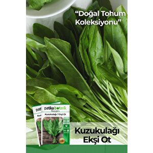 1000 Adet Kuzu Kulağı/ekşiotu Tohumu