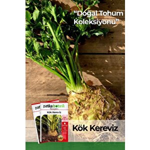 10.000 Adet Kök Kereviz Tohumu