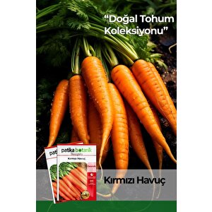 2000 Adet Kırmızı Havuç Tohumu