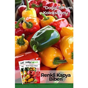 75 Adet Yerli Ata Renkli Kapya Biber Tohumu