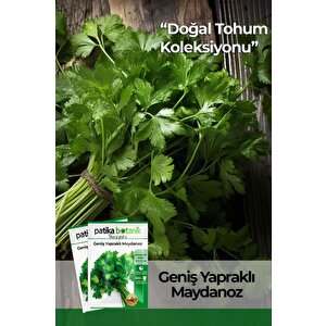 5000 Adet Patika Botanik Geniş Yapraklı Maydonoz Tohumu