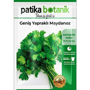 5000 Adet Patika Botanik Geniş Yapraklı Maydonoz Tohumu