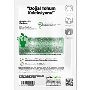 5000 Adet Patika Botanik Geniş Yapraklı Maydonoz Tohumu