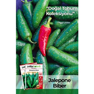 150 Adet Yerli Ata Jalapeno Biber Tohumu