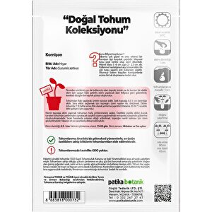 100 Adet Kornişon (turşuluk) Salatalık Tohumu