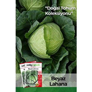 250 Adet Beyaz Lahana Tohumu (yalova)