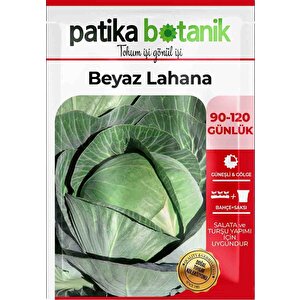 250 Adet Beyaz Lahana Tohumu (yalova)