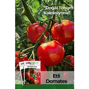 150 Adet Yerli Ata Etli Domates Tohumu (kalın Kabuk)