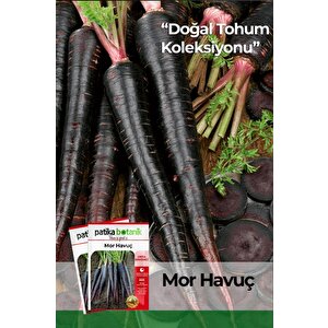 450 Adet Yerli Ata Mor Havuç Tohumu