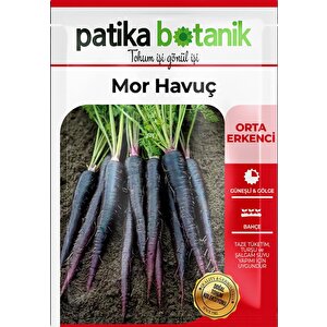 450 Adet Yerli Ata Mor Havuç Tohumu
