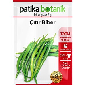 150 Adet Yerli Ata Çıtır Biber Tohumu (sivri, Tatlı)