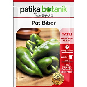 200 Adet Pat Biber Tohumu (közlemelik)